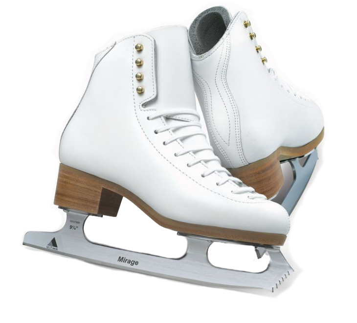 ICEHOCKEY - A HISTÓRIA DA PATINAÇÃO NO GELO